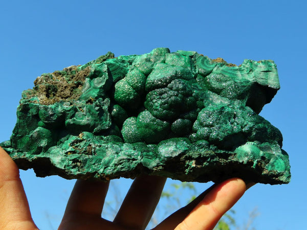 Natural Sparkling Botryoidal Malachite Specimen x 1 From Congo - TopRock