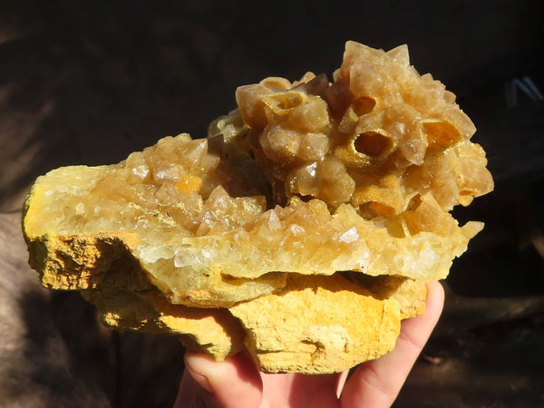 Natural Golden Limonite / Lemonite Quartz Clusters  x 5 From Zambia - Toprock Gemstones and Minerals 