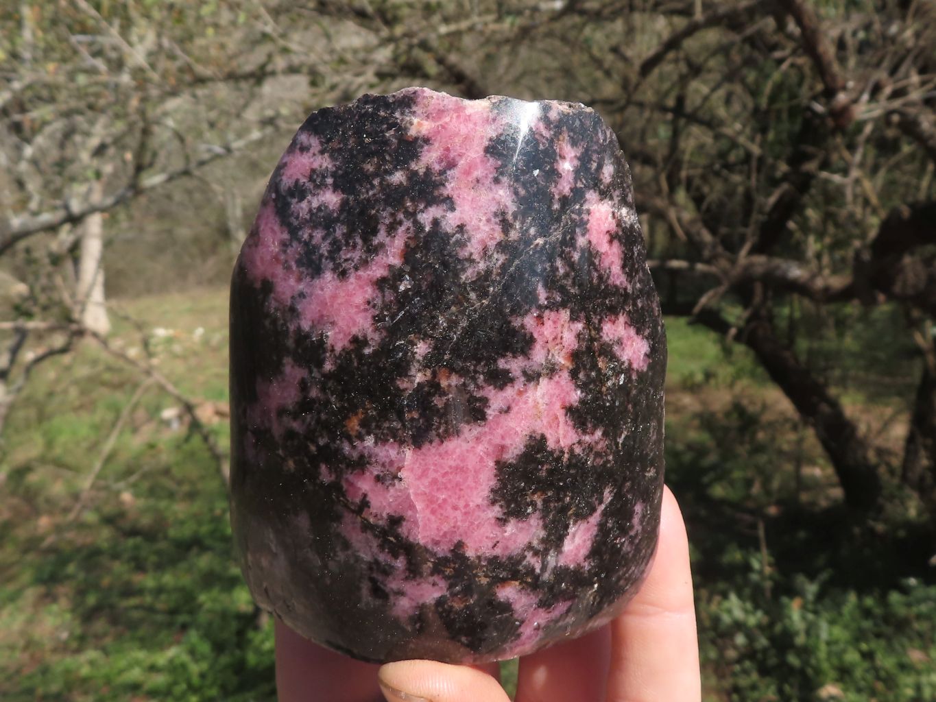 Polished Half Polished Pink & Black Rhodonite Pieces x 4 From Ambindavato, Madagascar - TopRock