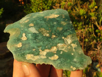 Polished On One Side Emerald Mtorolite Plates x 6 From Mutorashanga, Zimbabwe - Toprock Gemstones and Minerals 