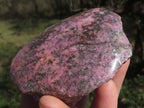 Polished Half Polished Pink & Black Rhodonite Pieces x 4 From Ambindavato, Madagascar - TopRock