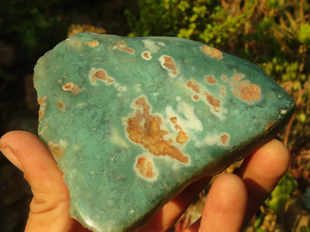 Polished On One Side Emerald Mtorolite Plates x 6 From Mutorashanga, Zimbabwe - Toprock Gemstones and Minerals 