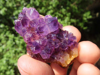 Natural Mini "Amethystos" Amethyst Plates  x 61 From Kwaggafontein, South Africa - TopRock
