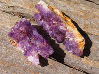 Natural Mini "Amethystos" Amethyst Plates  x 61 From Kwaggafontein, South Africa - TopRock