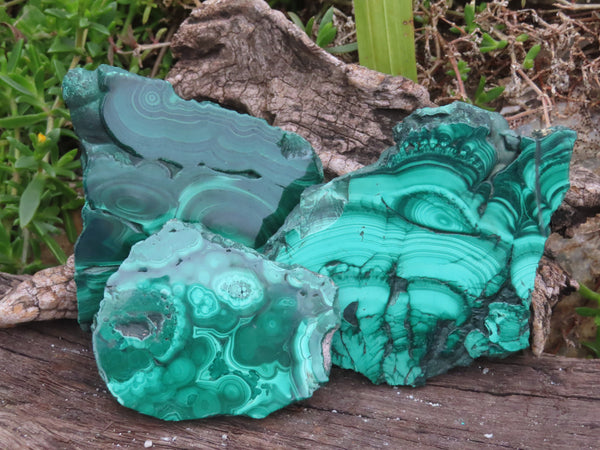Polished Malachite Slices With Nice Banding/Patterns x 6 From Congo - TopRock