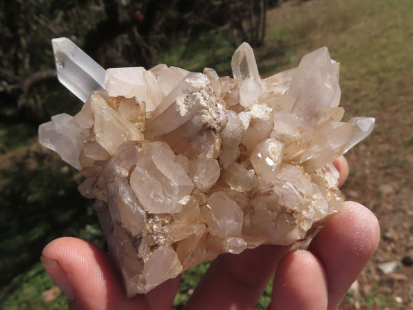 Natural Mixed Selection Of Quartz Clusters x 6 From Mandrosonoro, Madagascar - TopRock