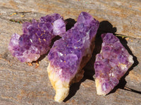 Natural Mini "Amethystos" Amethyst Plates  x 61 From Kwaggafontein, South Africa - TopRock