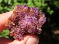 Natural Mini "Amethystos" Amethyst Plates  x 61 From Kwaggafontein, South Africa - TopRock