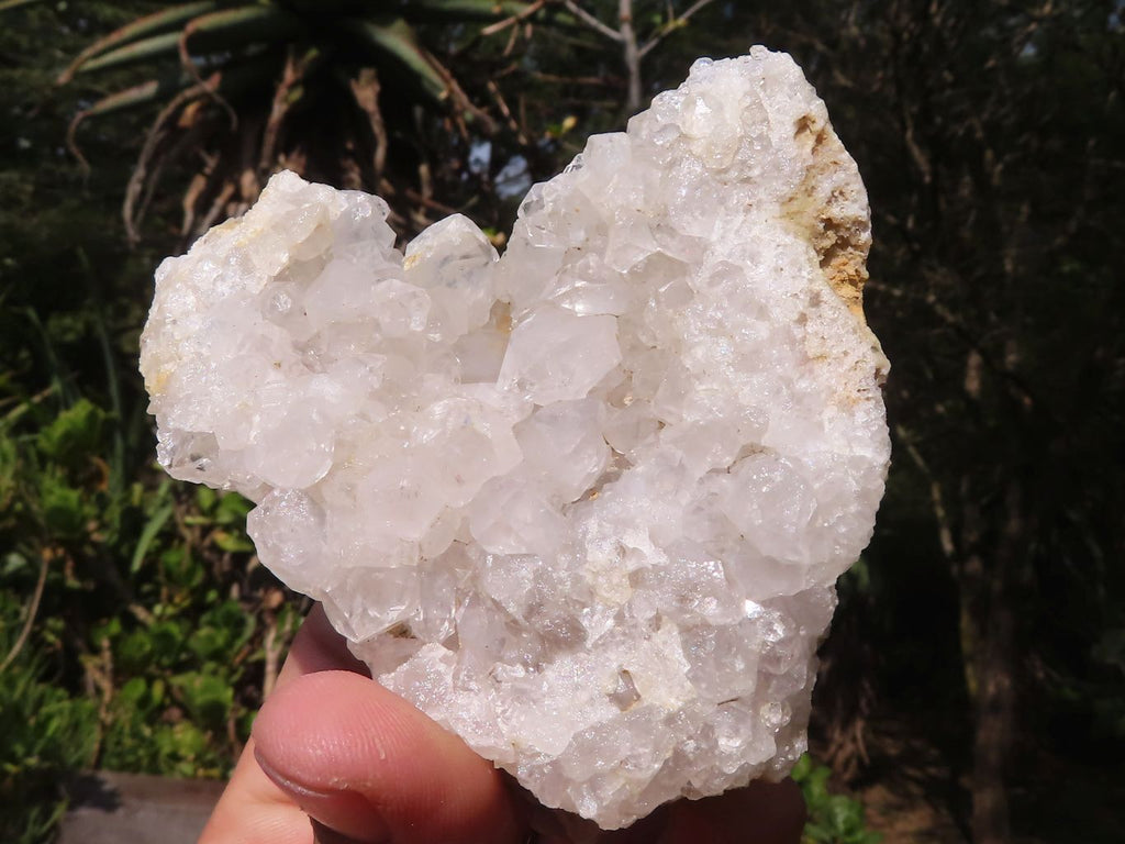 Natural Clear Quartz Crystal Plates  x 12 From Mpika, Zambia - Toprock Gemstones and Minerals 