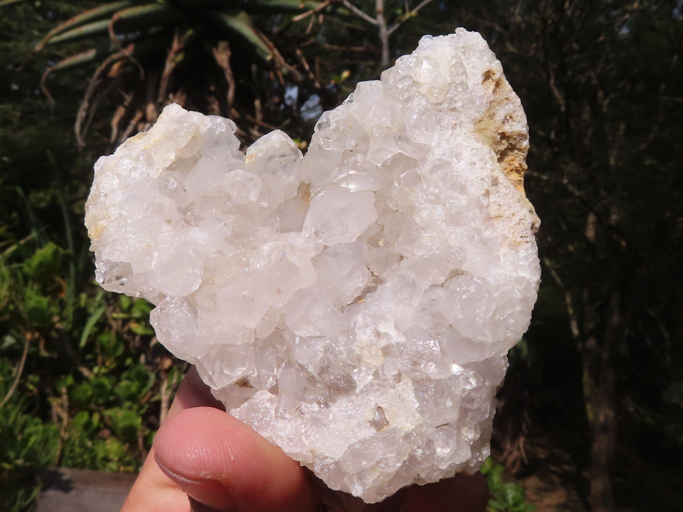 Natural Clear Quartz Crystal Plates  x 12 From Mpika, Zambia - Toprock Gemstones and Minerals 