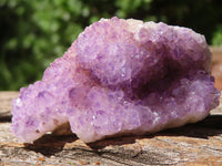 Natural Mini "Amethystos" Amethyst Plates  x 61 From Kwaggafontein, South Africa - TopRock