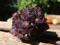 Natural Mini "Amethystos" Amethyst Plates  x 61 From Kwaggafontein, South Africa - TopRock