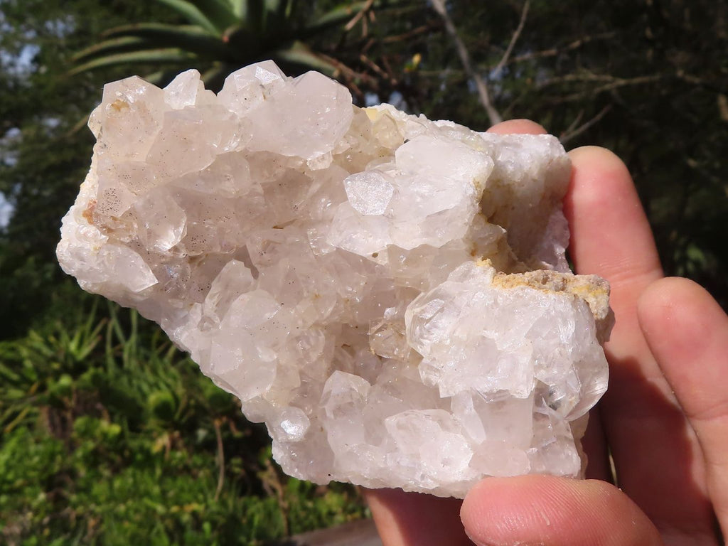 Natural Clear Quartz Crystal Plates  x 12 From Mpika, Zambia - Toprock Gemstones and Minerals 