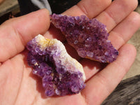 Natural Mini "Amethystos" Amethyst Plates  x 61 From Kwaggafontein, South Africa - TopRock