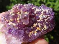 Natural Mini "Amethystos" Amethyst Plates  x 61 From Kwaggafontein, South Africa - TopRock