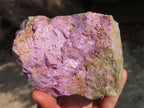 Natural Rough Stichtite & Serpentine Specimens x 2 From Barberton, South Africa - Toprock Gemstones and Minerals 