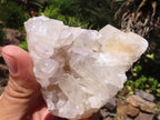 Natural Clear Quartz Crystal Plates  x 12 From Mpika, Zambia - Toprock Gemstones and Minerals 