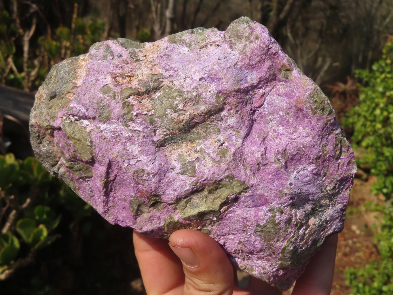 Natural Rough Stichtite & Serpentine Specimens x 2 From Barberton, South Africa - Toprock Gemstones and Minerals 