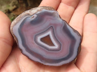 Polished Sashe River Agate Nodules  x 24 From Sashe River, Zimbabwe - TopRock