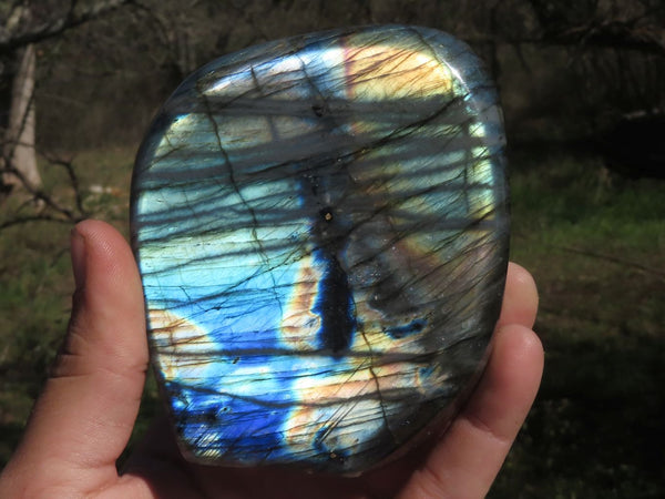 Polished Gorgeous Flashy Labradorite Standing Free Forms  x 2 From Tulear, Madagascar - TopRock