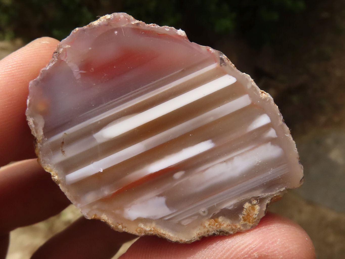 Polished Sashe River Agate Nodules  x 24 From Sashe River, Zimbabwe - TopRock