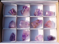 Polished Small Window Amethyst Points x 12 From Ankazobe, Madagascar - Toprock Gemstones and Minerals 