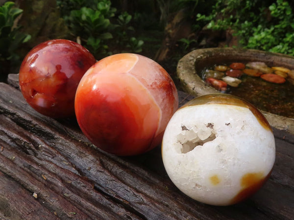 Polished Stunning Carnelian Agate Spheres  x 3 From Madagascar - Toprock Gemstones and Minerals 