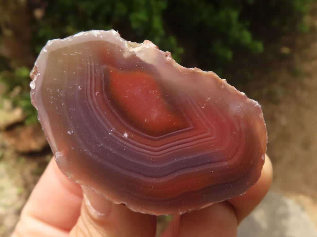 Polished Sashe River Agate Nodules  x 24 From Sashe River, Zimbabwe - TopRock