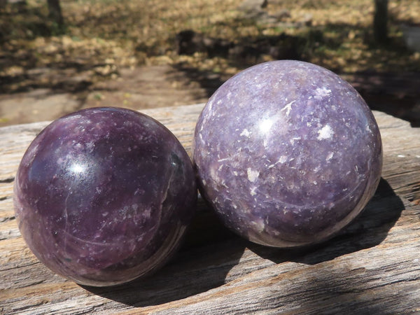 Polished Purple Mica Lepidolite Spheres  x 6 From Madagascar - TopRock