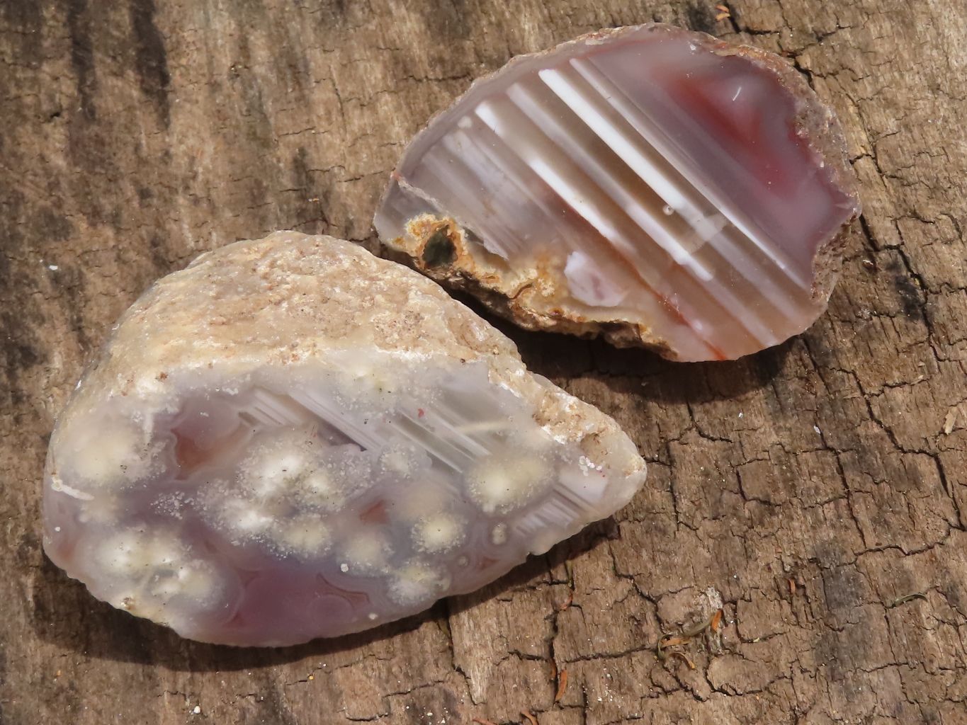 Polished Sashe River Agate Nodules  x 24 From Sashe River, Zimbabwe - TopRock