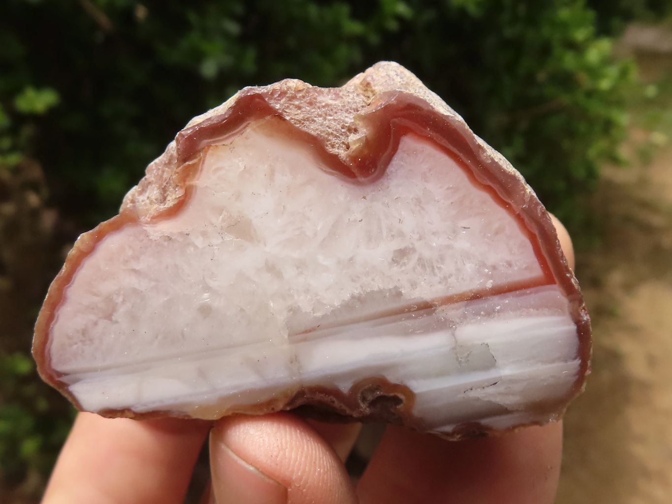 Polished Sashe River Agate Nodules  x 24 From Sashe River, Zimbabwe - TopRock