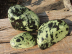 Polished Leopard Stone Free Forms  x 3 From Zimbabwe - Toprock Gemstones and Minerals 