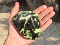 Polished Leopard Stone Free Forms  x 3 From Zimbabwe - Toprock Gemstones and Minerals 