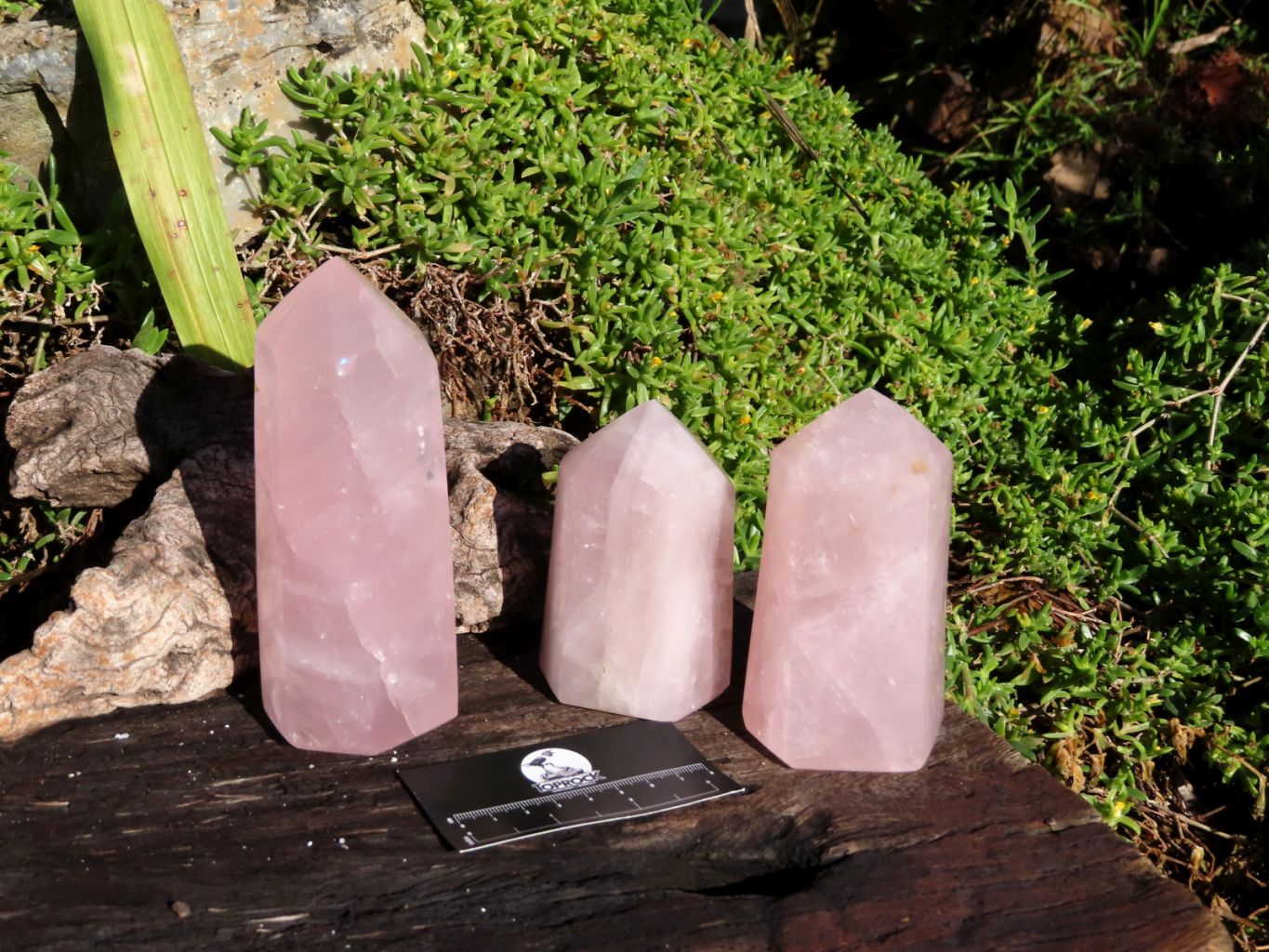 Polished Beautiful Pink Rose Quartz Towers x 3 From Madagascar - TopRock