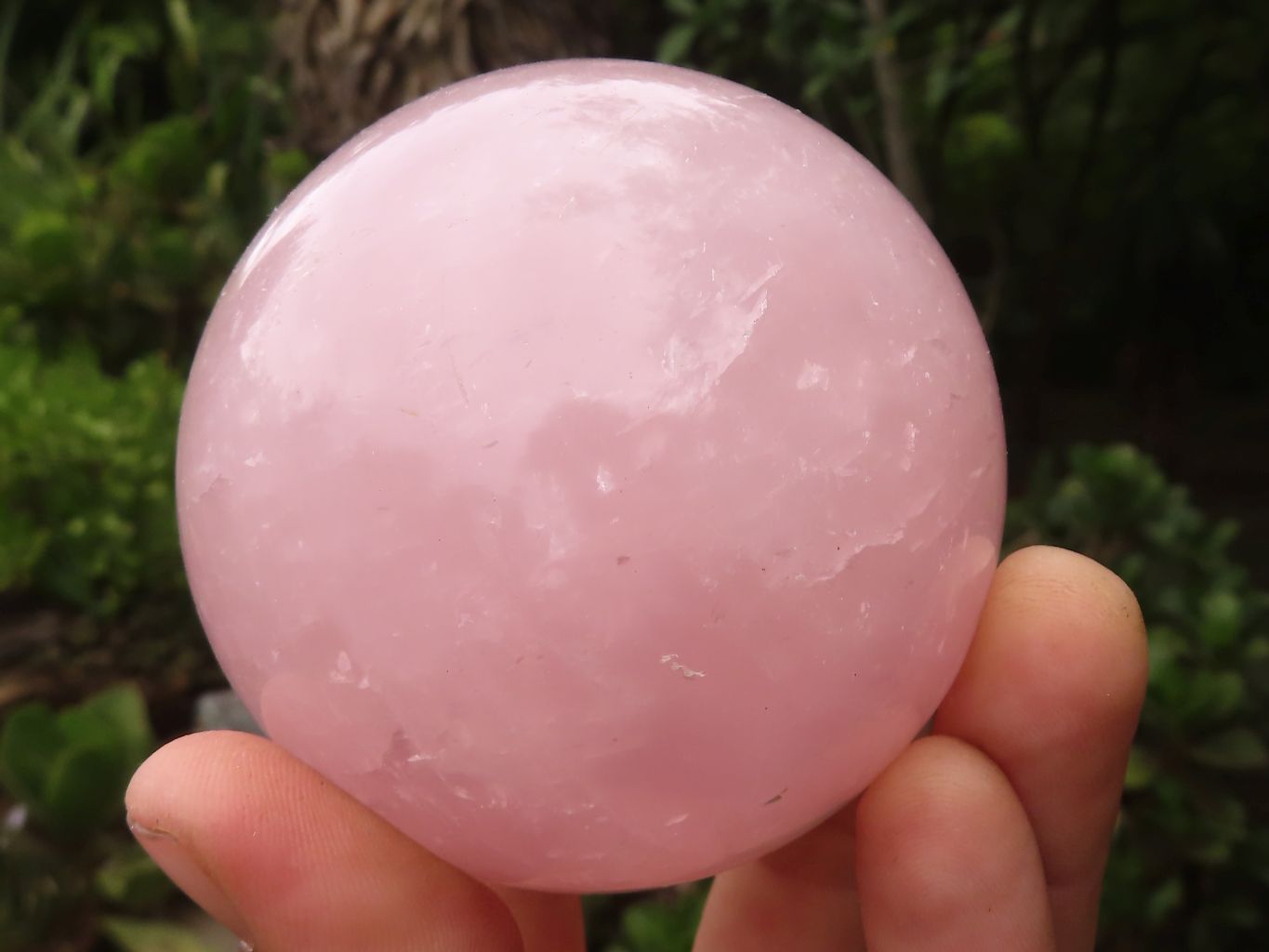 Polished Gemmy Pink Rose Quartz Spheres  x 6 From Madagascar - TopRock