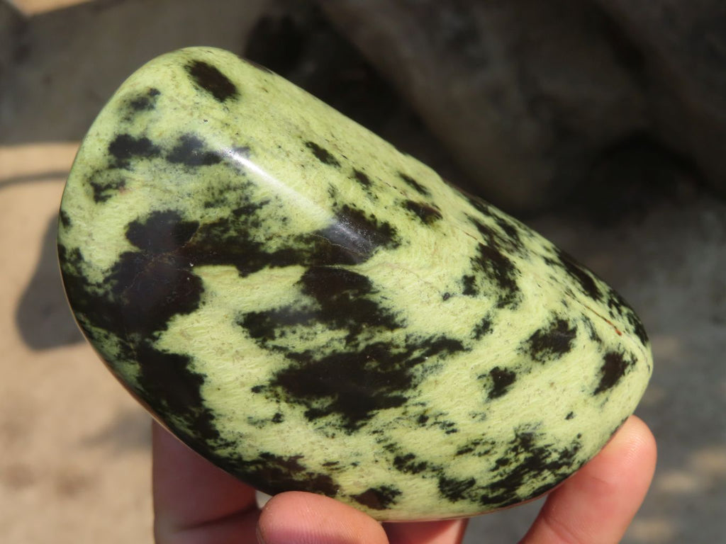 Polished Leopard Stone Free Forms  x 3 From Zimbabwe - Toprock Gemstones and Minerals 
