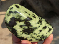 Polished Leopard Stone Free Forms  x 3 From Zimbabwe - Toprock Gemstones and Minerals 