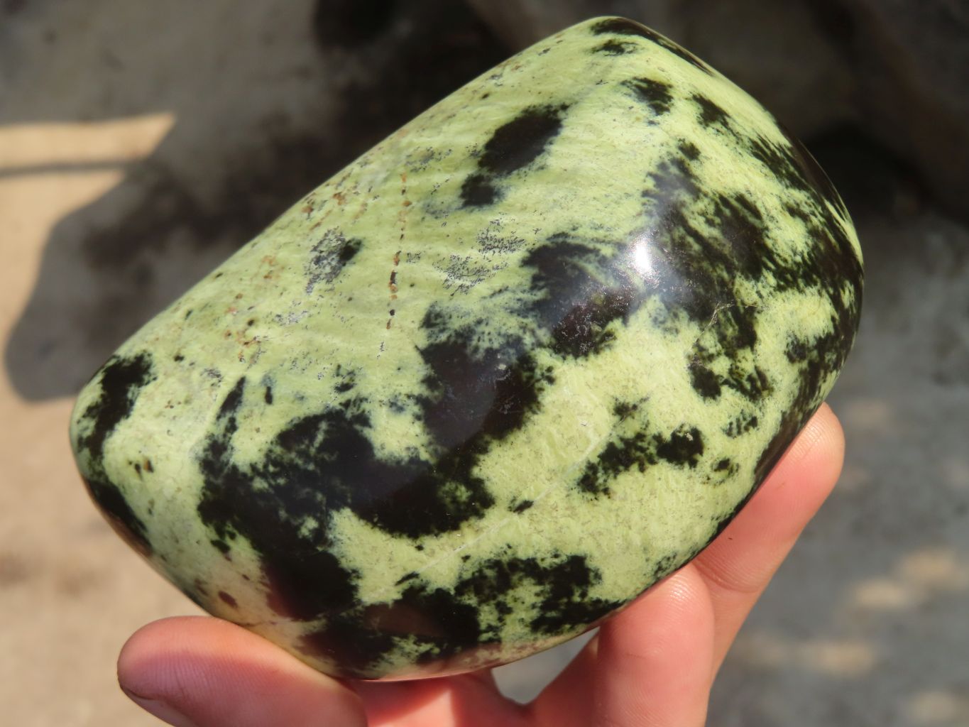 Polished Leopard Stone Free Forms  x 3 From Zimbabwe - Toprock Gemstones and Minerals 