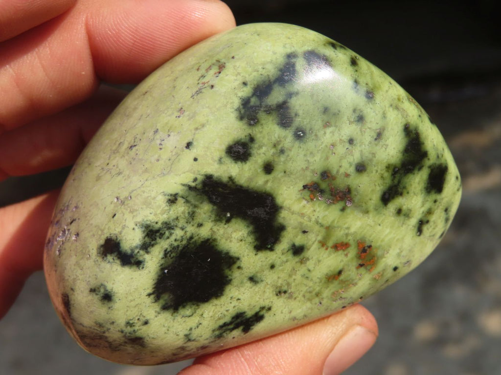 Polished Leopard Stone Free Forms  x 3 From Zimbabwe - Toprock Gemstones and Minerals 