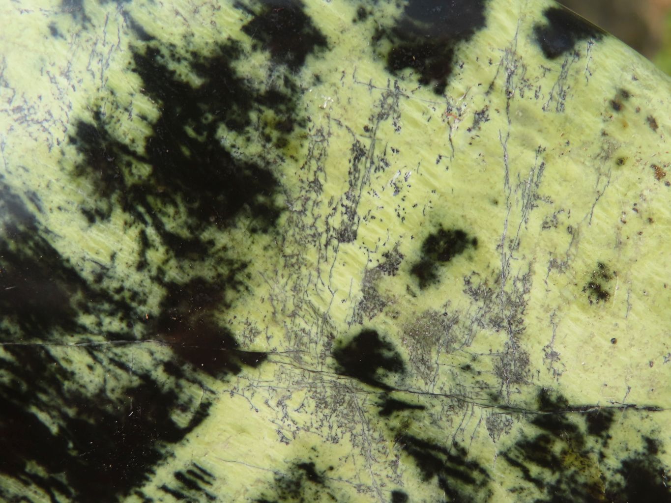 Polished Leopard Stone Free Forms  x 3 From Zimbabwe - Toprock Gemstones and Minerals 