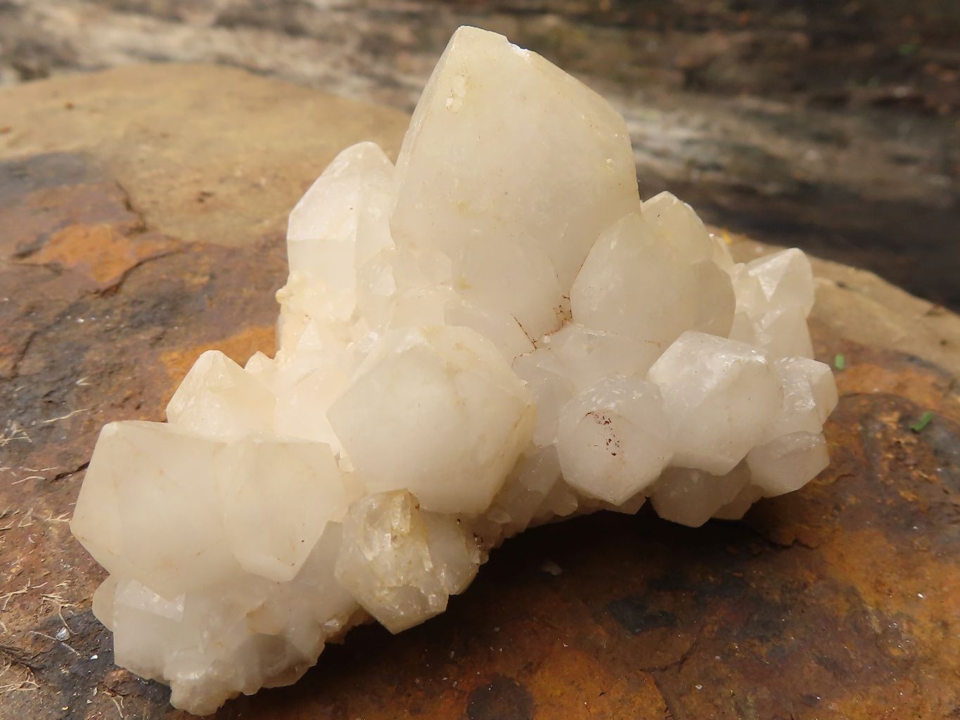 Natural Pineapple Candle Quartz Crystals x 12 From Madagascar - TopRock