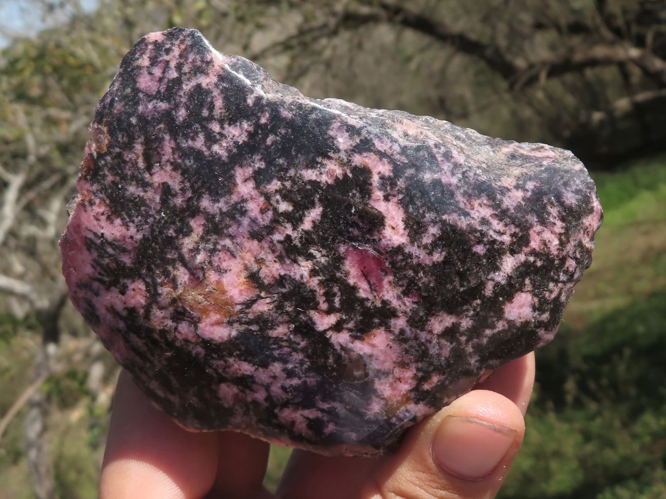 Polished Half Polished Pink & Black Rhodonite Pieces x 5 From Ambindavato, Madagascar - TopRock