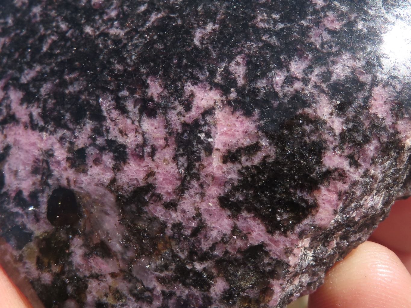 Polished Half Polished Pink & Black Rhodonite Pieces x 5 From Ambindavato, Madagascar - TopRock