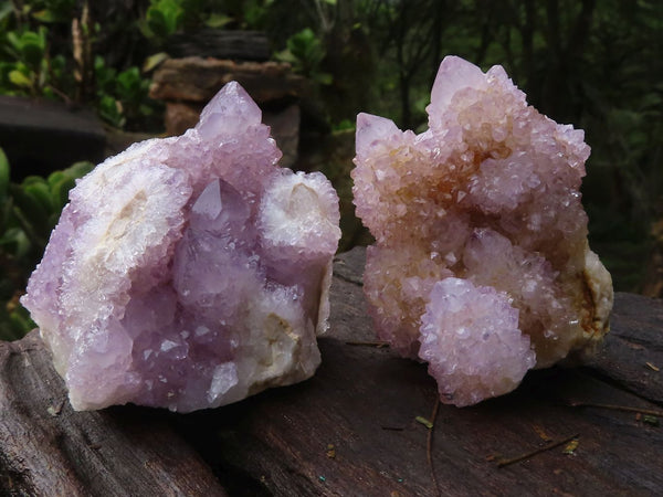 Natural Small Mixed Spirit Quartz Clusters  x 24 From Boekenhouthoek, South Africa - Toprock Gemstones and Minerals 
