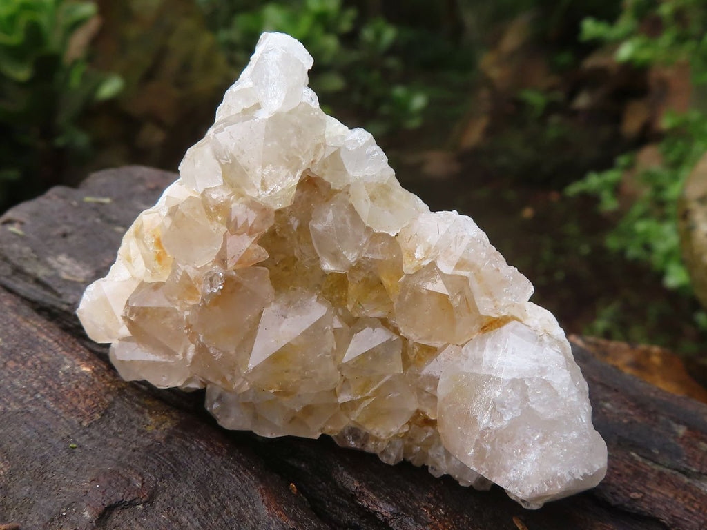 Natural Small Mixed Spirit Quartz Clusters  x 24 From Boekenhouthoek, South Africa - Toprock Gemstones and Minerals 