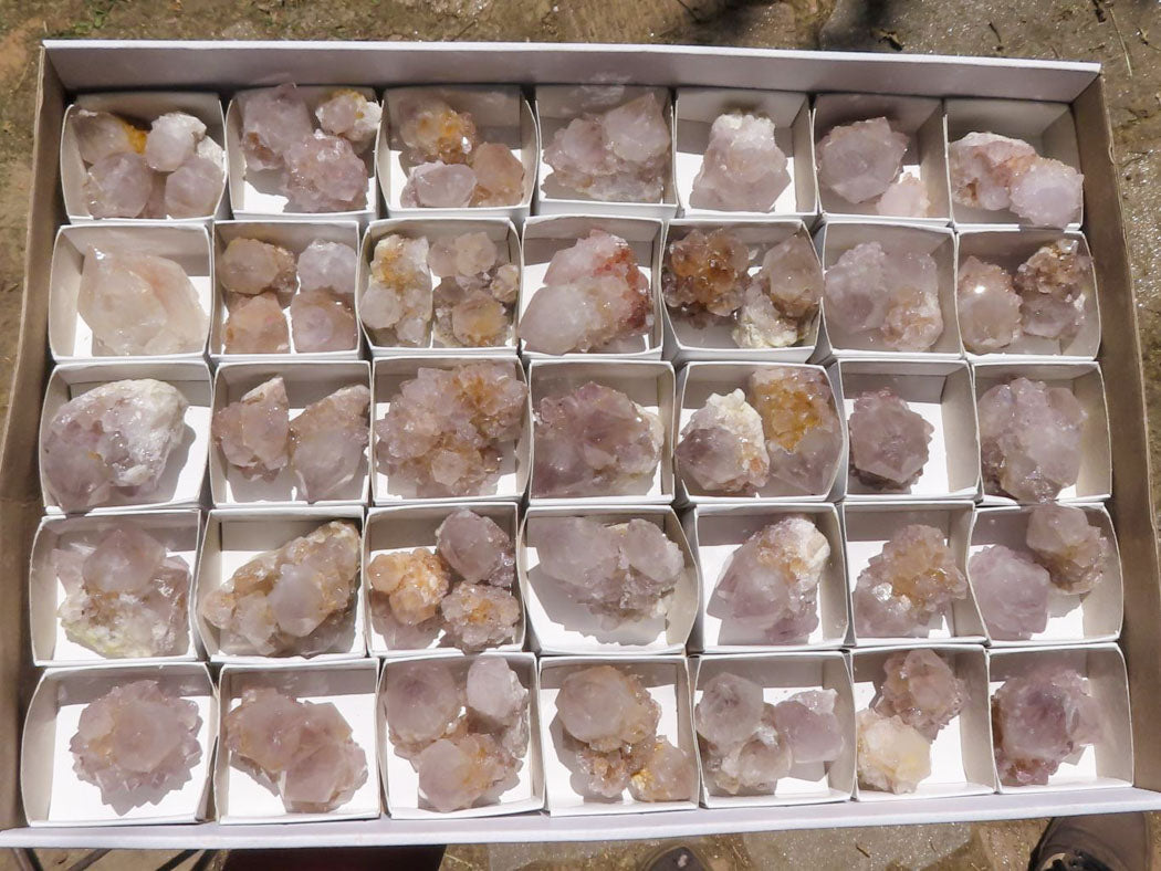 Natural Small Spirit Cactus Flower Quartz Specimens  x 60 From Southern Africa - TopRock