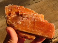 Natural New Sunset Orange Calcite Specimens  x 4 From Spitzkop, Namibia - Toprock Gemstones and Minerals 