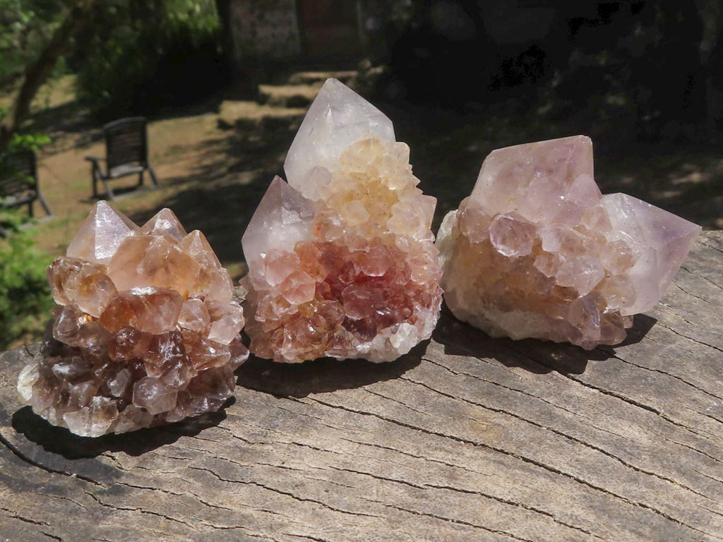 Natural Small Spirit Cactus Flower Quartz Specimens  x 60 From Southern Africa - TopRock