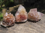 Natural Small Spirit Cactus Flower Quartz Specimens  x 60 From Southern Africa - TopRock
