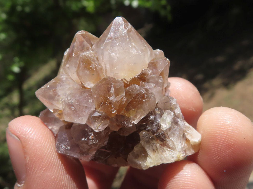 Natural Small Spirit Cactus Flower Quartz Specimens  x 60 From Southern Africa - TopRock